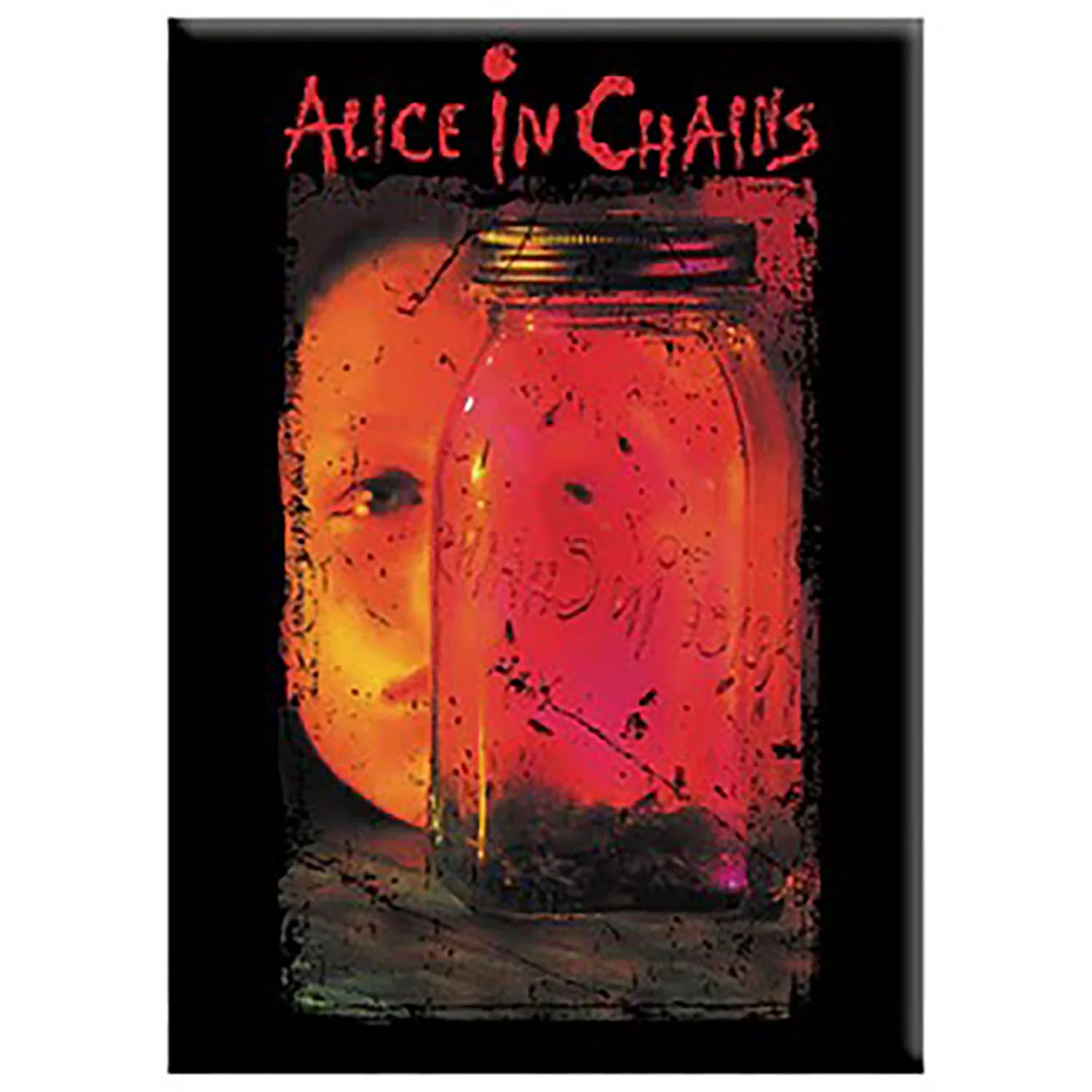 Alice In Chains Jar of Flies Magnet