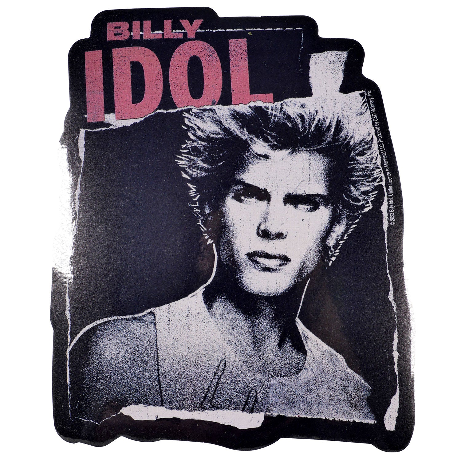 Billy Idol Poster Sticker