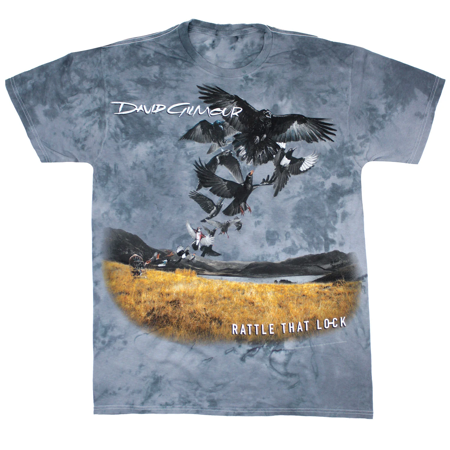 David Gilmour Rattle That Lock Tie Dye T-shirt