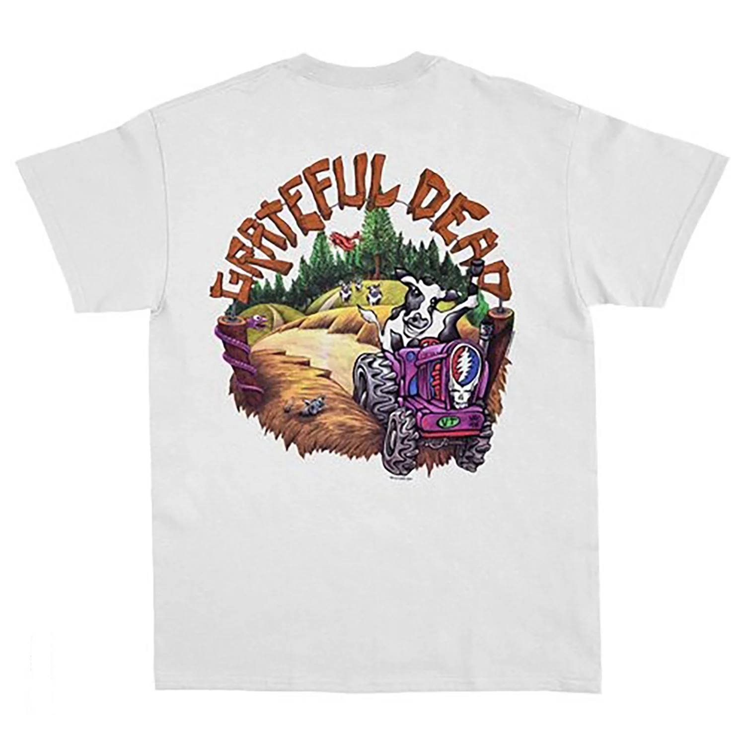 Grateful Dead Highgate T-shirt - Image 2