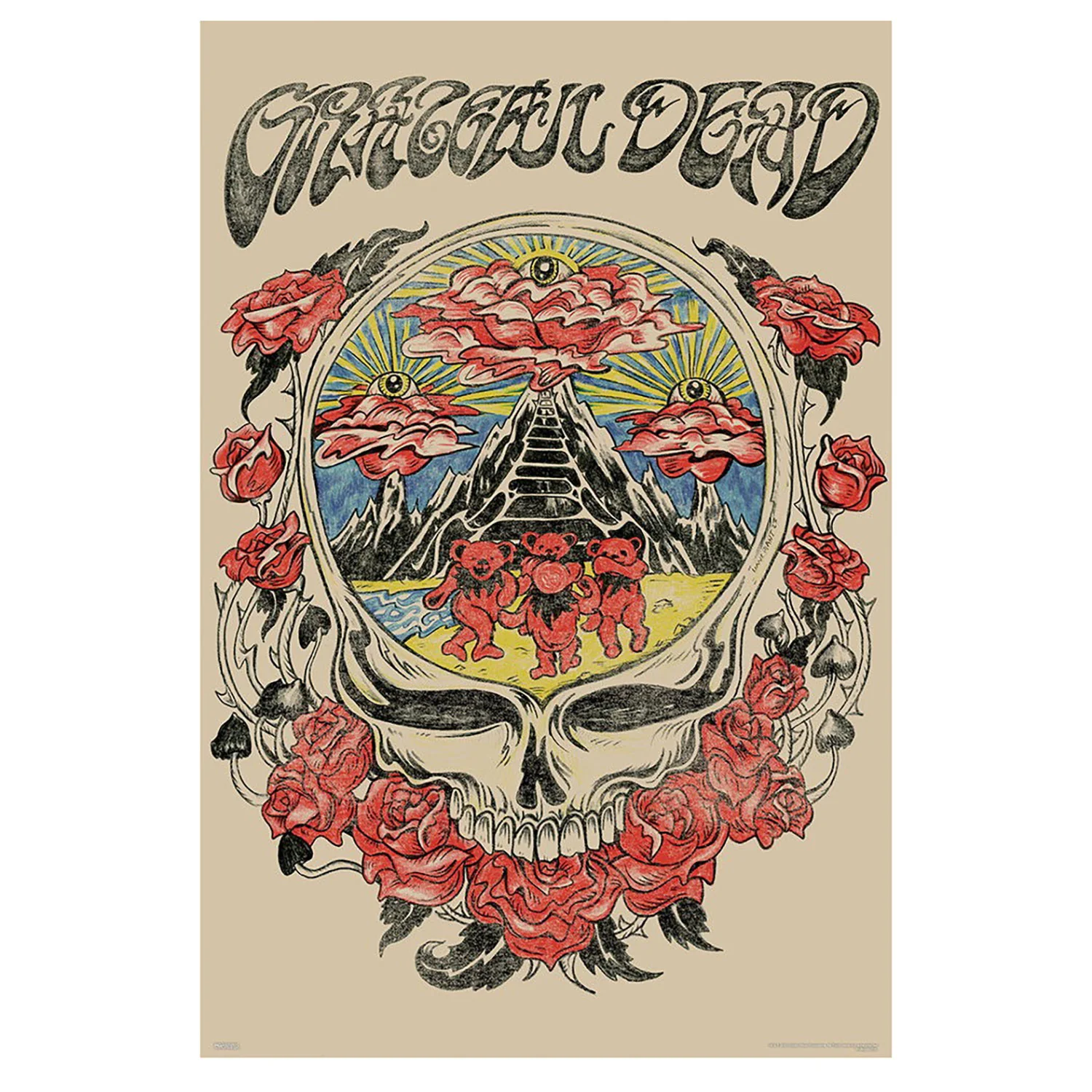 Grateful Dead Skull Vision Domestic Poster