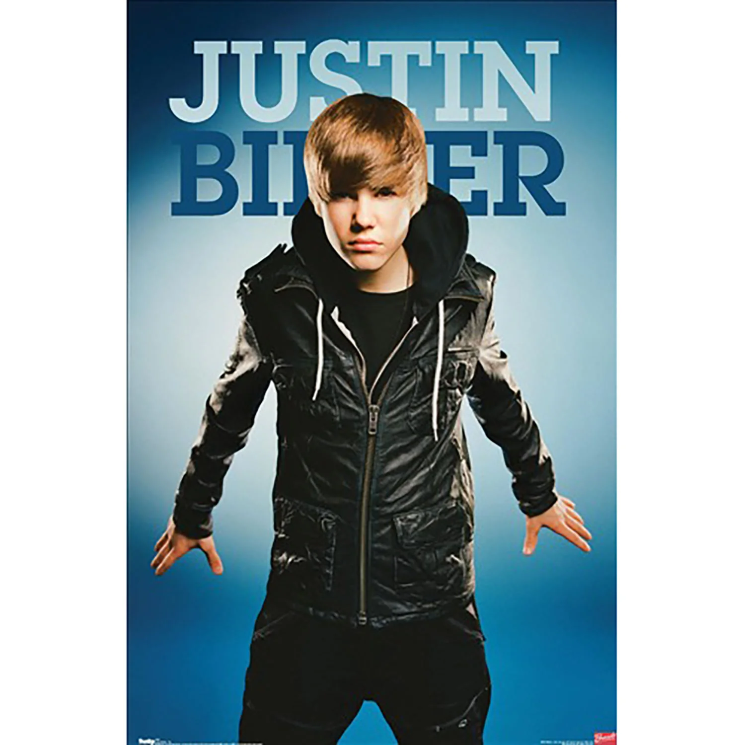 Justin Bieber Fly Domestic Poster