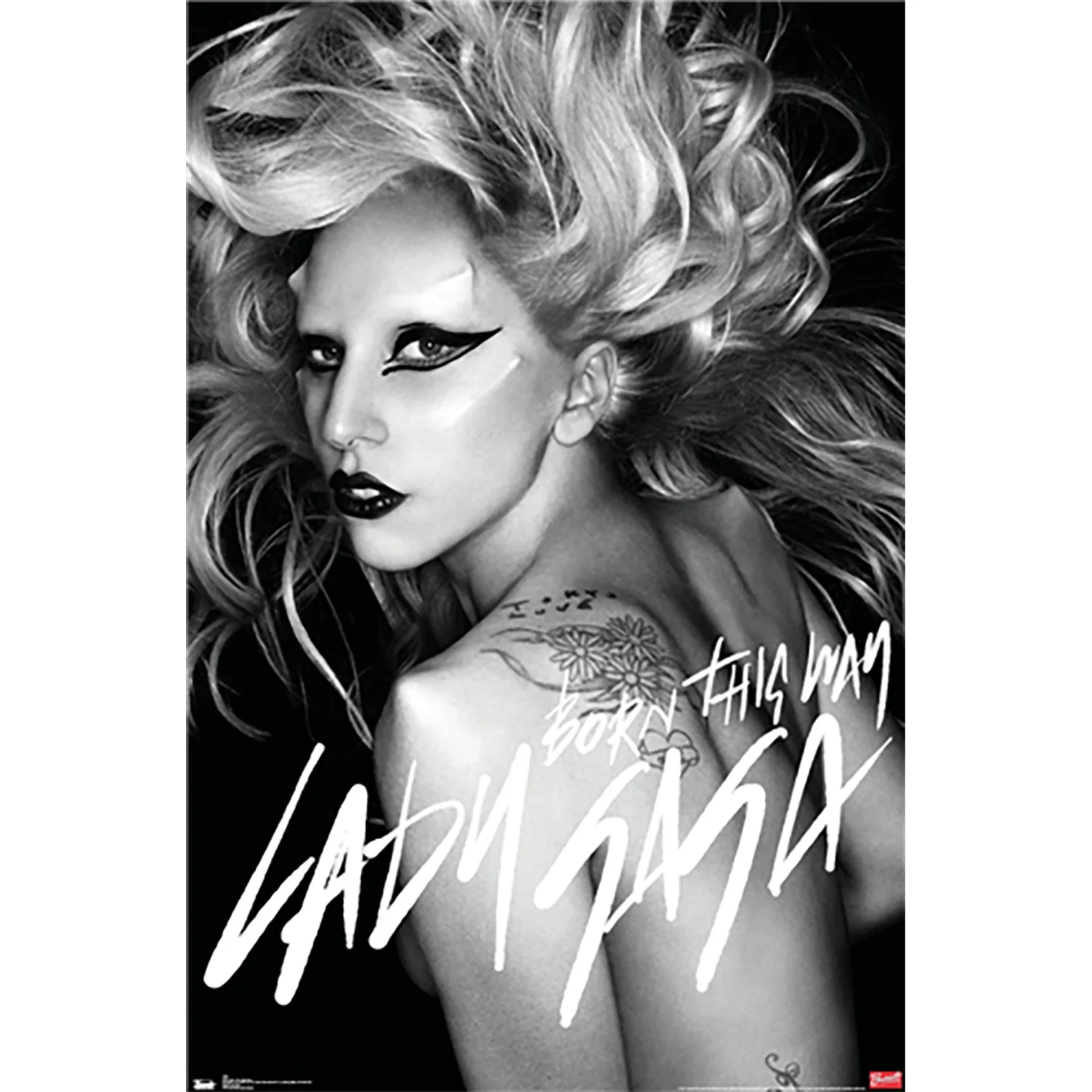 Lady Gaga Born This Way Domestic Poster