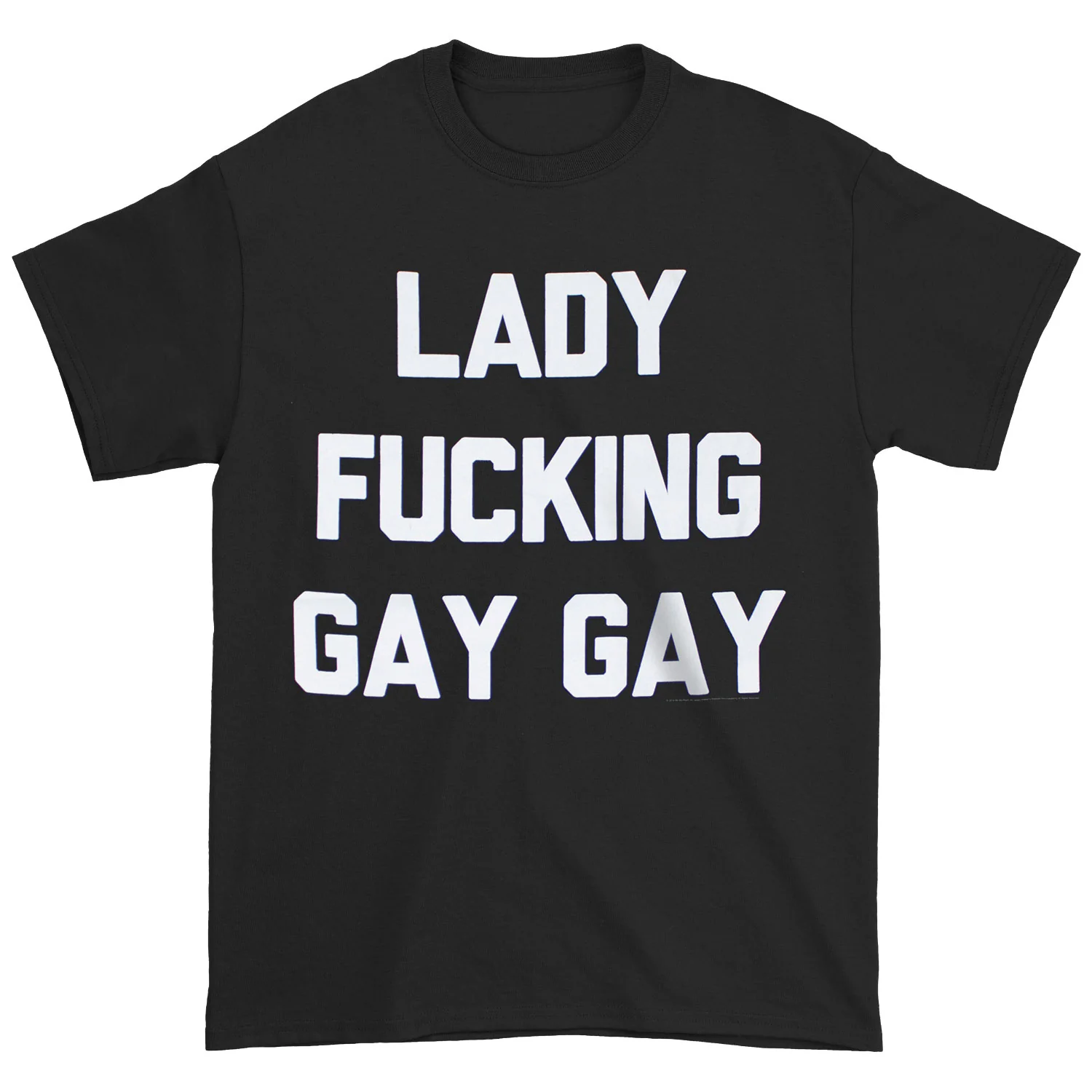 Lady Gaga Lady Fucking Gay Gay T-shirt