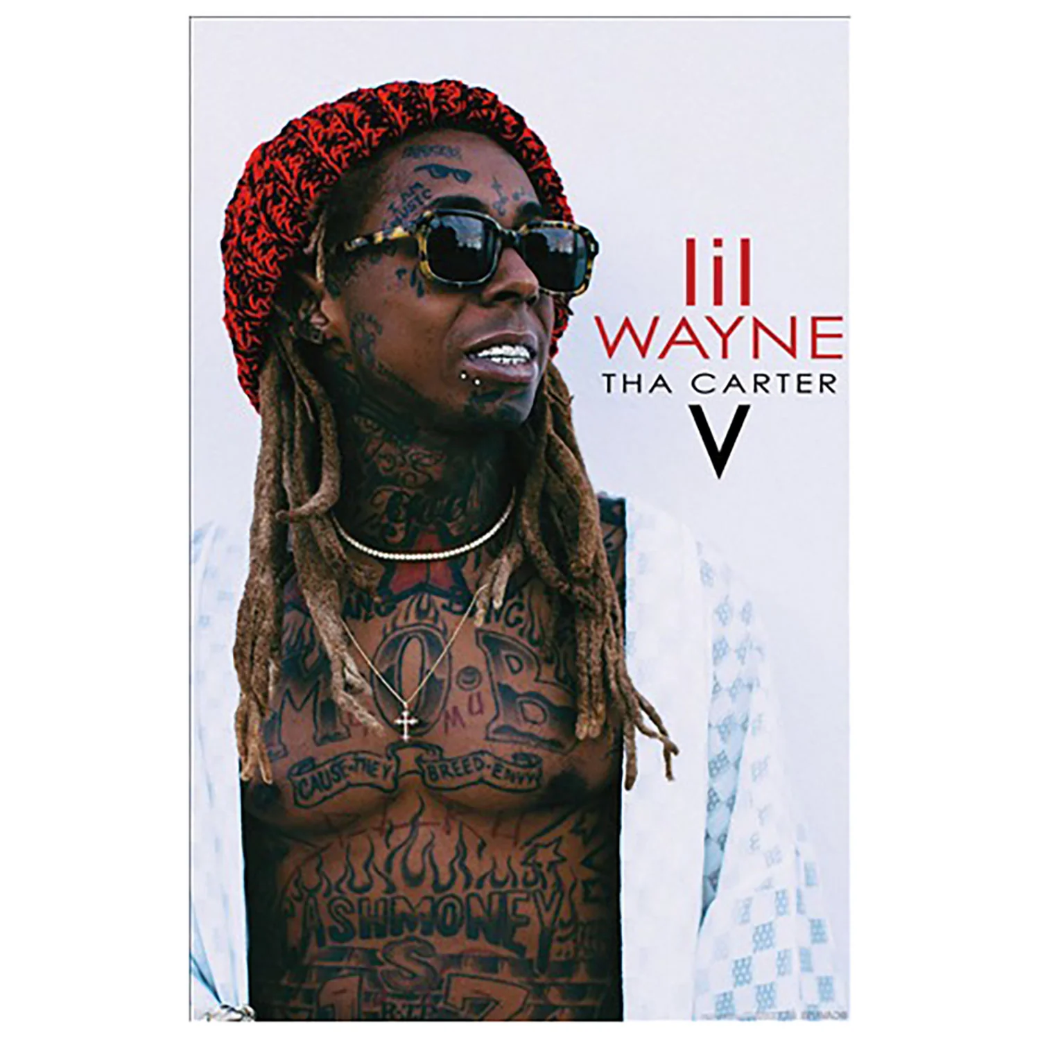 Lil Wayne Carter V Domestic Poster