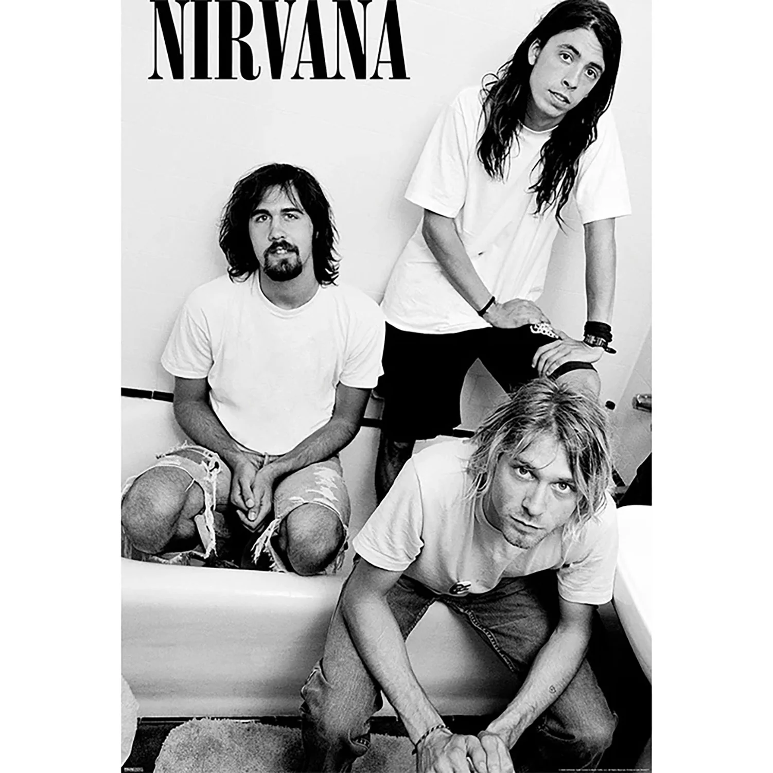 Nirvana Band Domestic Poster