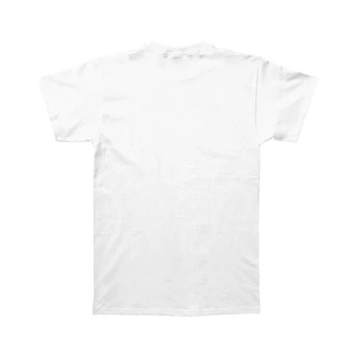 Sex Pistols Faded Vintage God Save The Queen T-shirt - Image 2