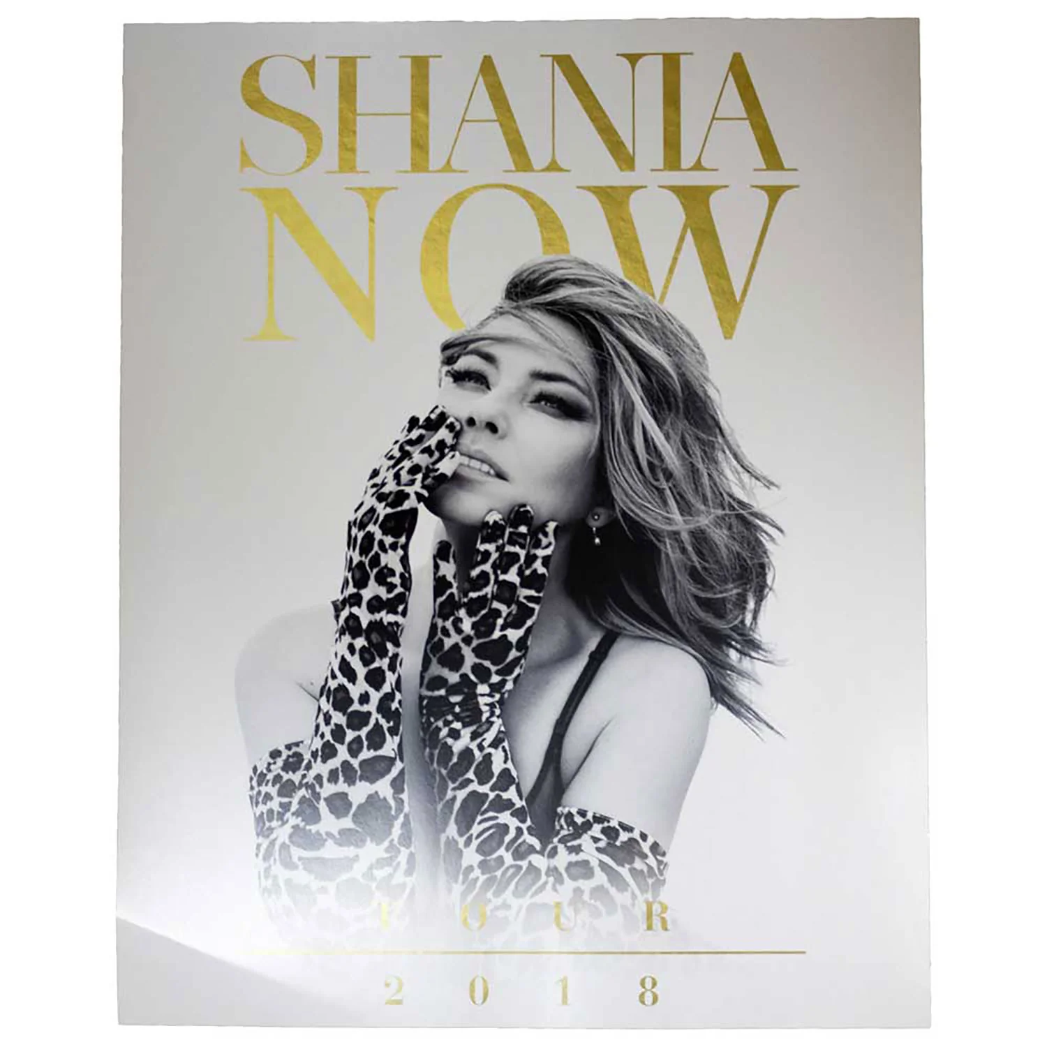 Shania Twain Tour 2018 Domestic Poster