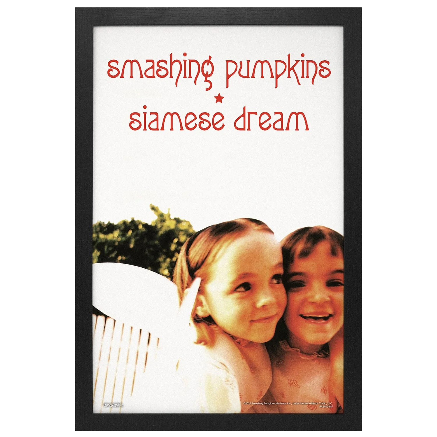 Smashing Pumpkins Siamese Dream Framed Wall Art